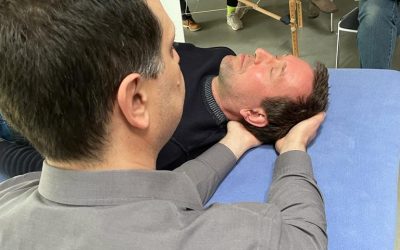 Dr. Bill Foley Presented an Osteopathic Course to German Osteopaths